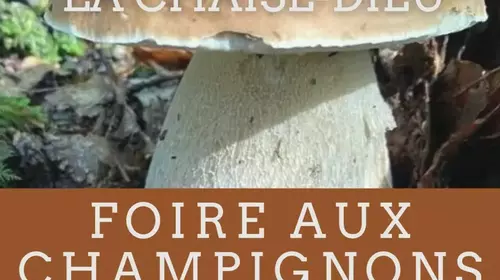 FOIRE AUX CHAMPIGNONS